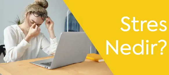 Stres Nedir?